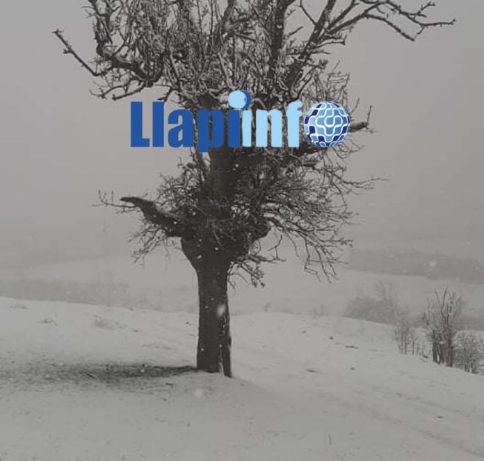99D67370-E0B5-43FC-8C73-9CD6E3CCBF20