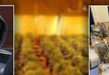 24-vjeçari shqiptar kapet me 1.5 milion euro drogë, lihet në burg