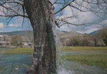 Fshati shqiptar në Mal të Zi që u bë fenomen në mediat botërore