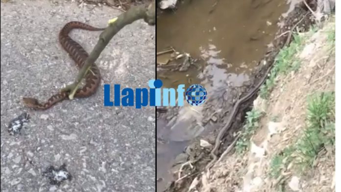 Untitled design (28)