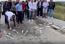 Para protestës, bëhen homazhe tek vendi i aksidentit ku vdiqën dy mërgimtarët në Podujevë
