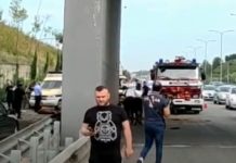 Kamioni që transportonte viça përplaset me rrethojat, ndërron jetë 32-vjeçari