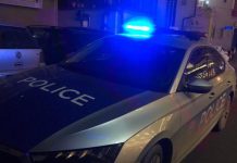 Rryma mbyt lopën dhe një dhelpër, fajtorë KEDS-i (Pamje nga vendi i ngjarjes)