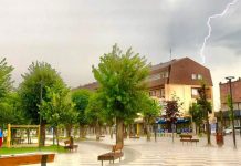 Parashikimi i motit për pesë ditë