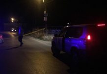 Ky është zyrtari policor që u përfshi në konfliktin me vëllezërit e tij, ku u përdorën dhe armët