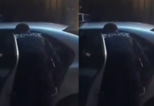Polici përplaset me të dyshuarin në Prishtinë: Zani mos të nihet, a e shkele policin majmun (VIDEO)
