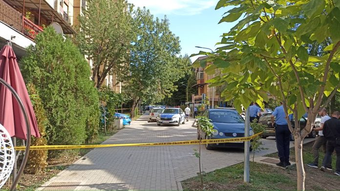 304849494_4019344291624704_795929280186303016_n