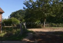 Shpëtohet shtatzëna shtëpia e së cilës u vërshua nga të reshurat (VIDEO)