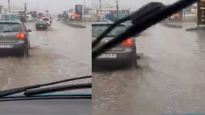 Untitled design (17)