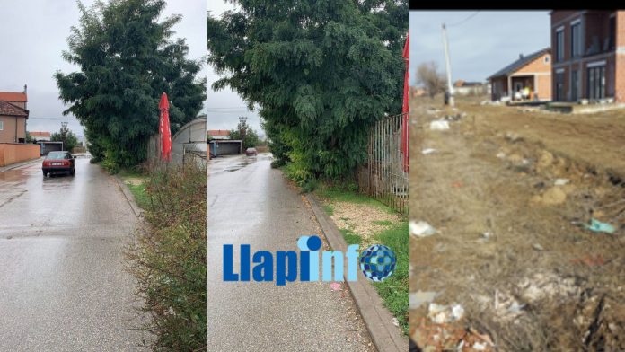 Untitled design (31)