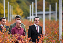 Kurti: Në Kosovë ia vlen fort të mbjellësh, vjelësh e të korrësh
