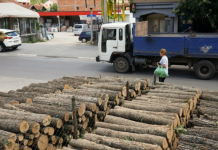 Qytetarët po i kthehen drunjve për ngrohje