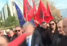 LAJMI I FUNDIT: Një protestues e godet me grusht Sali Berishën (Video)