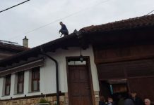 Aksioni i Doganës në këtë fshat, djali i pronarit kërcënon të hidhet nga çatia