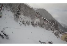 Brezovica mbulohet nga bora