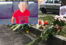 Çka ndodhi me të moshuarën zvicerane, që vrau me thikë 7-vjeçarin nga Kosova?