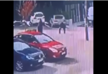 E rëndë; Një grua në Prishtinë sulmohet nga qentë endacakë (VIDEO)