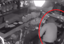 Hajni futet në mesnatë në lokal, pamje nga kamerat (VIDEO)