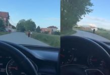 Banorët e fshatit Obrançë të Podujevës kërkojnë ndërtimin e trotuareve: Këmbësorët të rrezikuar (VIDEO)