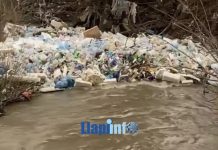 Pamje të turpshme në Podujevë (Video)