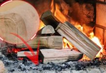 Mos e hidhni hirin nga djegia e druve, nuk mund ta besoni për çfarë mund ta përdorni