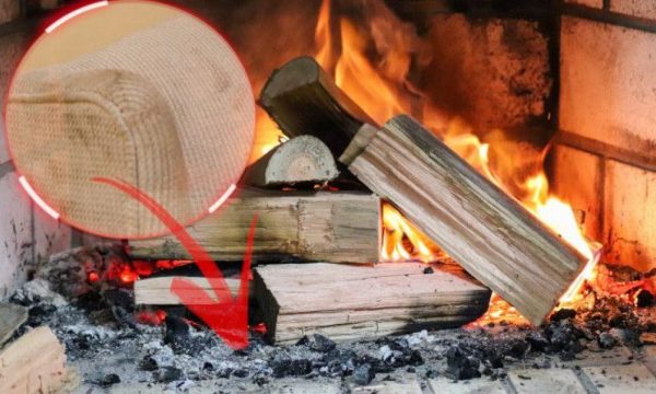 4283E1D3-D441-47F3-A0ED-4DFBCF025E14