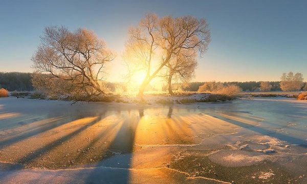 F3BCD162-201D-4947-9A75-881704ECE131