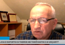 Raportimi për therje me thikë, ish-koloneli thotë se rasti i 18-vjeçarit mund të jetë ngatërruar nga Policia