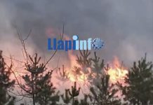 Digjen pishat në këtë fshat të Podujevës (Video)