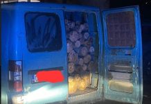 Policia e Kosovës konfiskon rreth 20 metër kub dru në këtë fshat të Podujevës