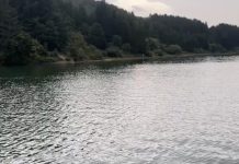 Gjendet një gjarpër 2 metra i gjatë në Batllavë, banorët kanë një mesazh (Video)