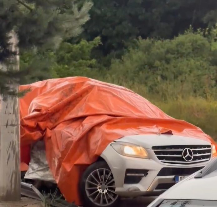 7CB487E5-603A-4CFC-B277-1190C7A143E0