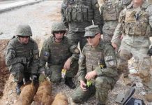 Si përfunduan predhat e LDB në rrugën Prishtinë -Podujevë, historiani e jep një version të mundshëm