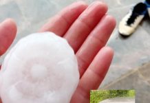 Shtëpi, xhama të thyer e vetura të dëmtuara – Pamje që la breshëri sot në vendin tonë