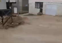 Edhe sot vërshime nga shiu