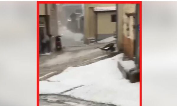 BFE4F884-C750-485D-ADAB-FEF7989F0327