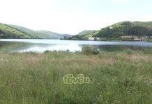 Rritet bari afër Liqenit të Batllavës, rrezik nga gjarpërinjtë (VIDEO)