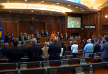 Shpërthen në lot, Kuvendi në këmbë për Saranda Bogujevcin