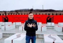 Mërgimtari nga Kosova vdes tragjikisht në një aksident (Foto)