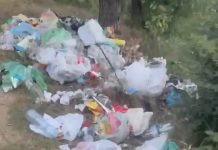 Disa vizitorë të papërgjegjshëm ndotin liqenin e Batllavës (Video)