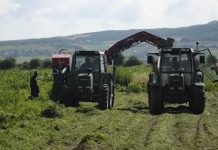 “I bekuar nga Zoti” – Ky është fermeri nga Podujeva që mbulon 90% të tregut të Kosovës me karrotë dhe eksporton në BE (Video)