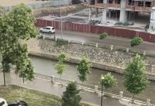 Fllad dhe rebesh shiu dje në Podujevë (Video)