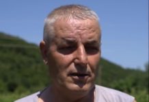 Historia dhe suksesi i llapjanit – Ka një kërkesë për kojshitë që jetojnë në Fushë Kosovë (Video)