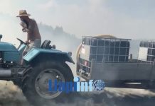 Veprimi i këtij llapjani meriton çdo lavdatë (Video)
