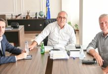 Bulliqi priti në takim këshilltarin e Ahtisaarit, diskutuan mundësinë e binjakëzimit mes dy vendeve