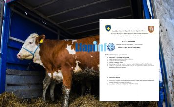 Hapet aplikimi për mëshqerra në Podujevë (Dokument)