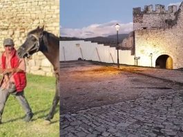 Fëmijët bënë foto me kalin, por i ati nuk pagoi para/ 62-vjeçari vrau turistin në sy të familjarëve në Berat