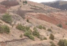 Pamje të reja të ballafaqimit të xhandarmarisë serbe me banorët në vijën kufitare në Rakinicë të Podujevës