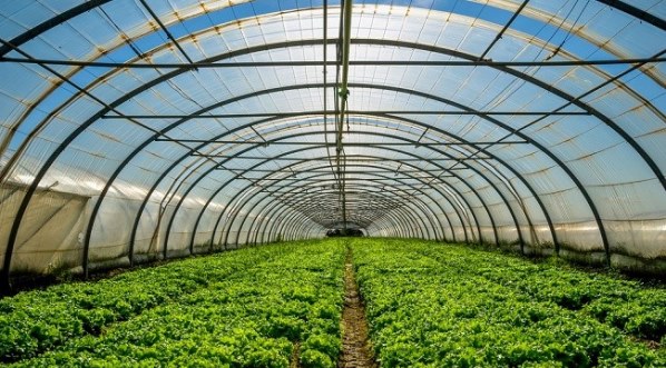 76519F03-052A-4E83-BE02-304CEA31D53C