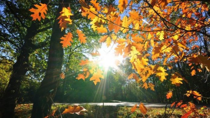 AA31CAB2-3E5D-4A4B-AD38-B2CF617351D7